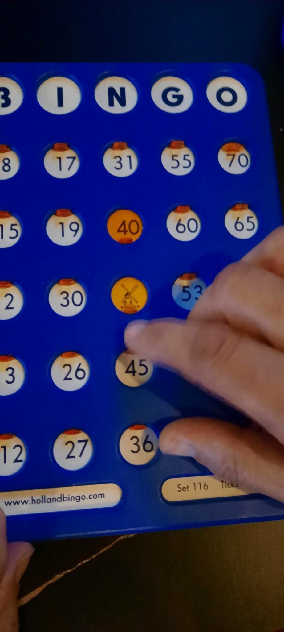 bingobord