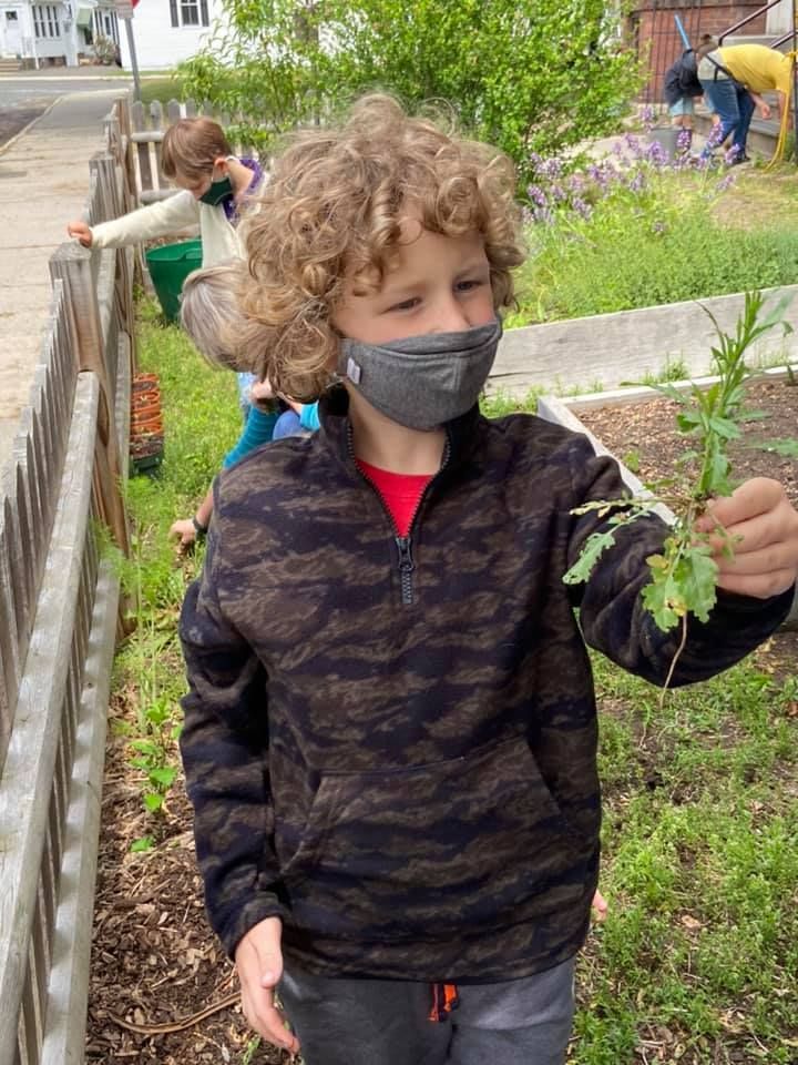 A young boy wearing a mask is holding a plant in a garden.