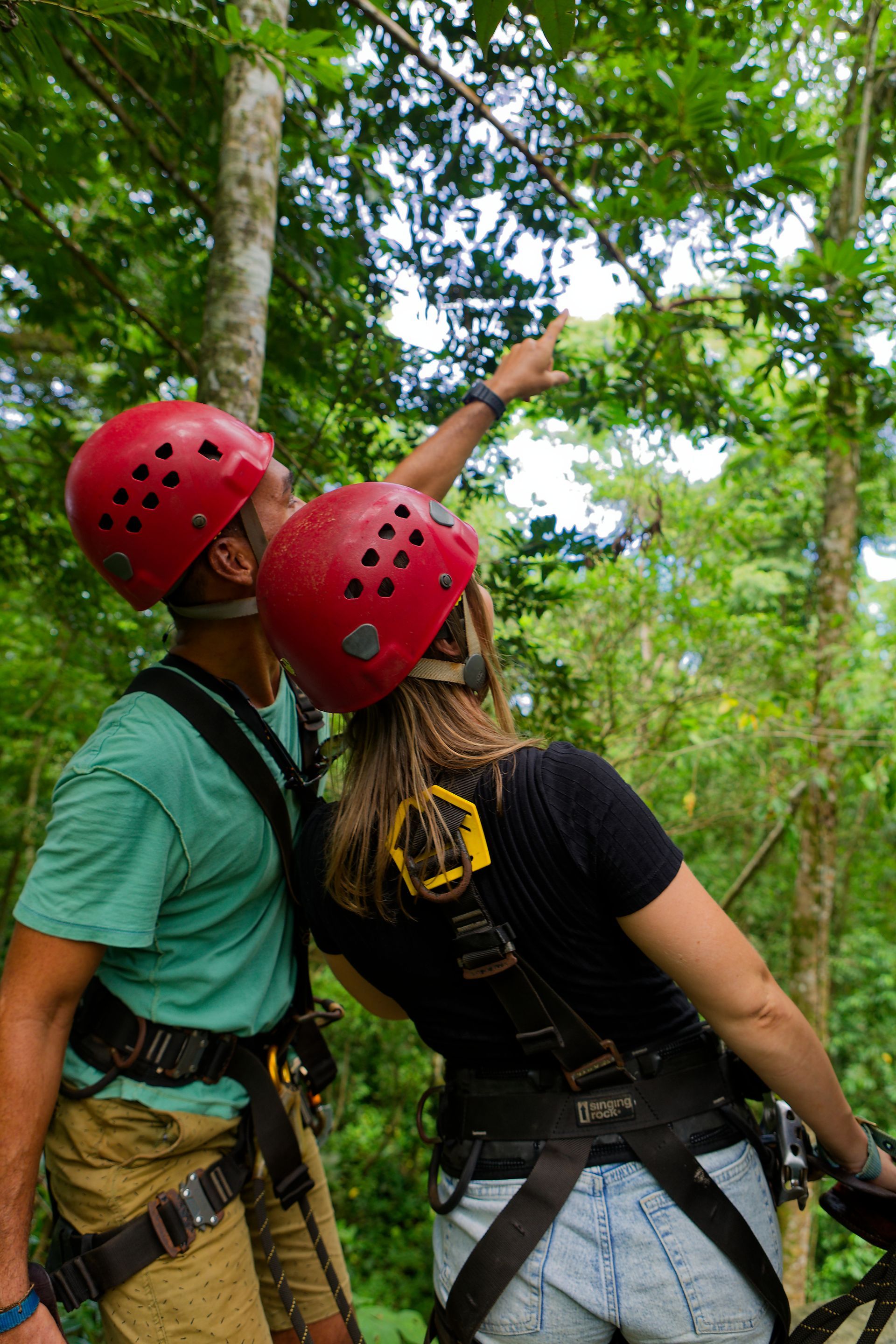 Two people in red helmets point upward while harnessed on a ropes course in a green forest