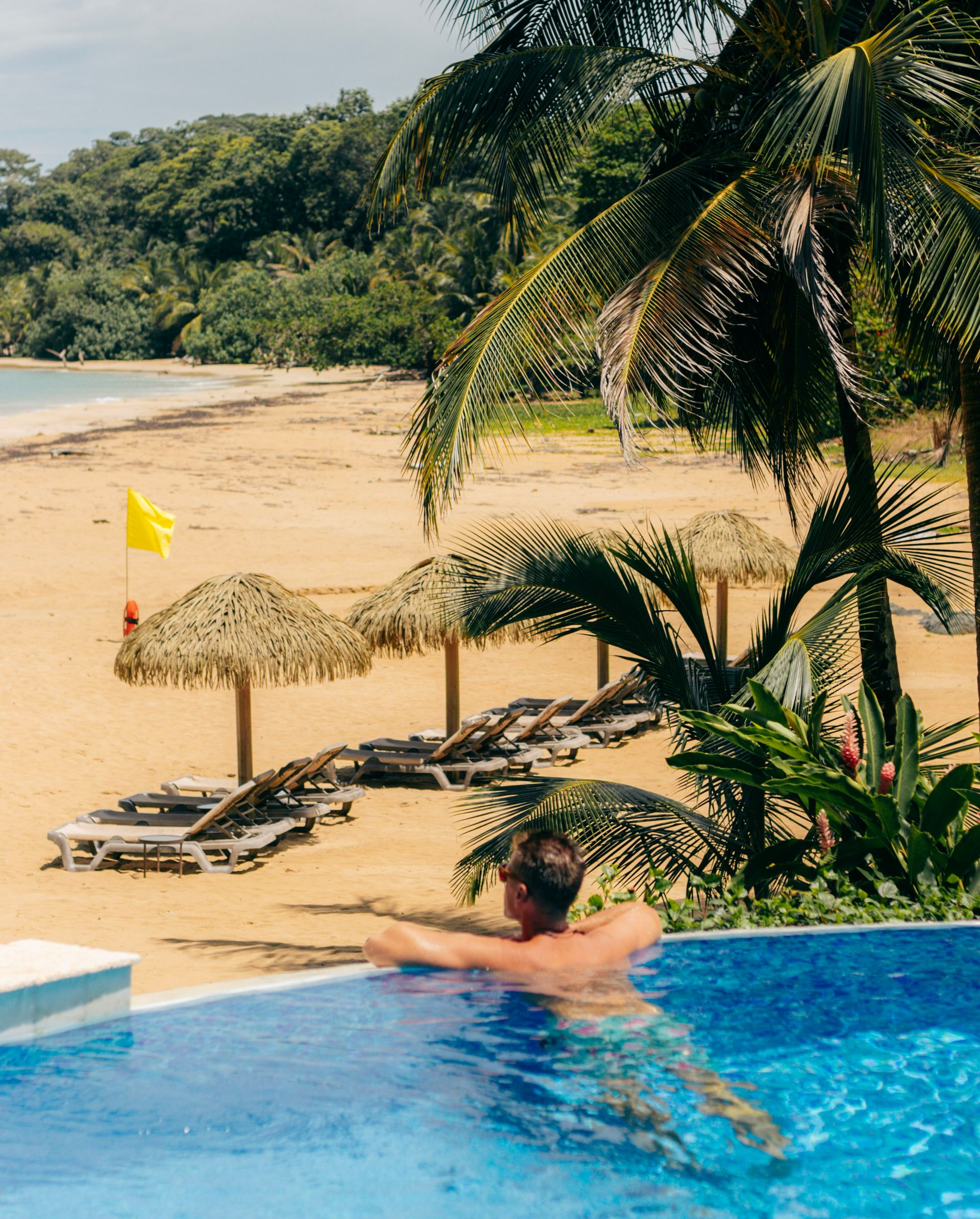 Resort infinity pool overlooking a tropical beach with palm trees and lounge chairs