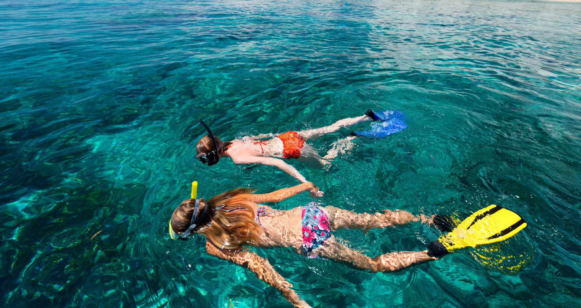 Two snorkelers floating face down in clear turquoise water, wearing fins and masks