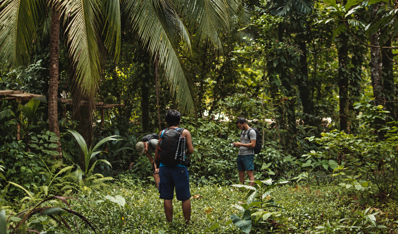 Two hikers standing in a lush tropical jungle, one with a backpack and a phone, the other taking a photo.
