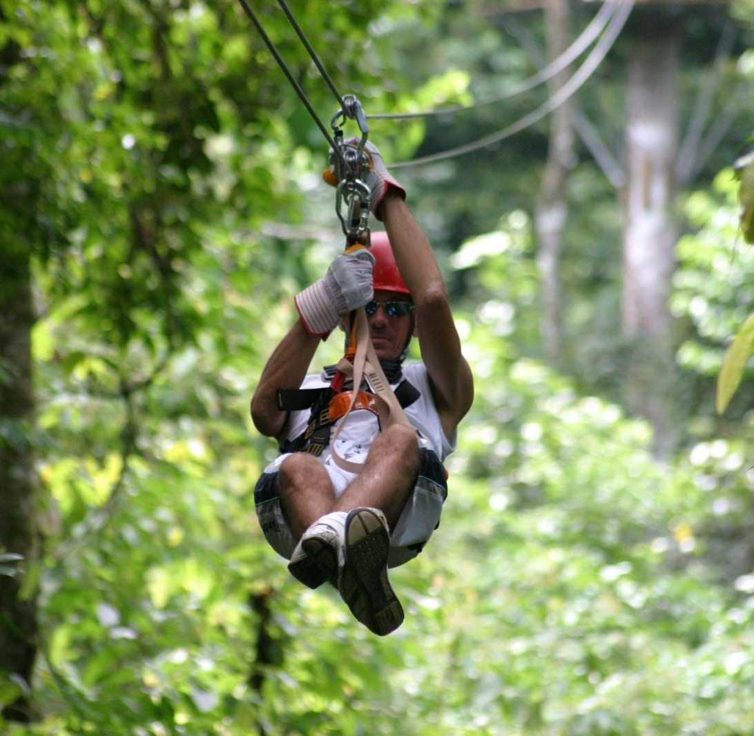 Person zip-lining through a lush green forest, suspended by cables and harness.