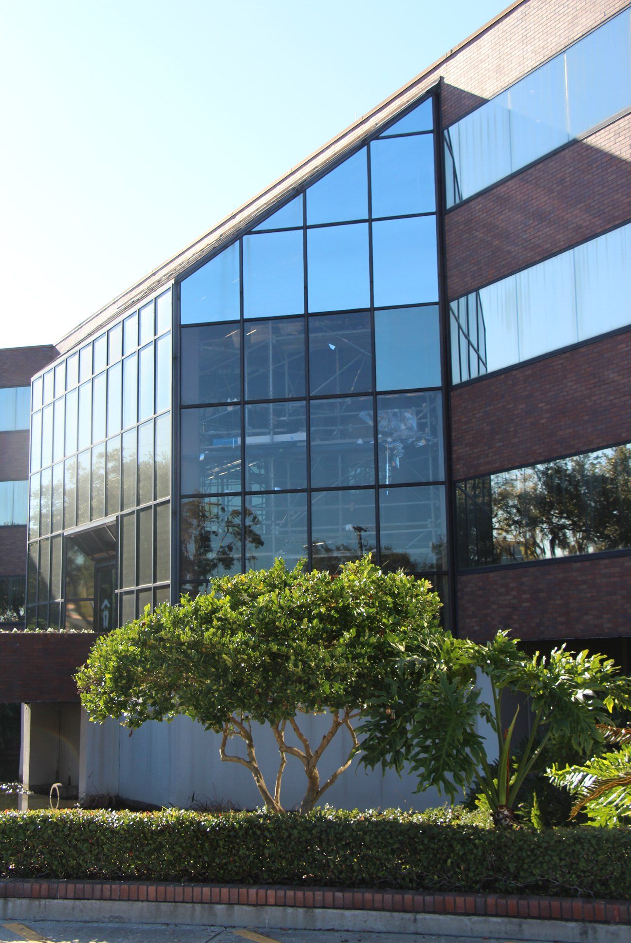 Office Building Window Film St Petersburg Florida