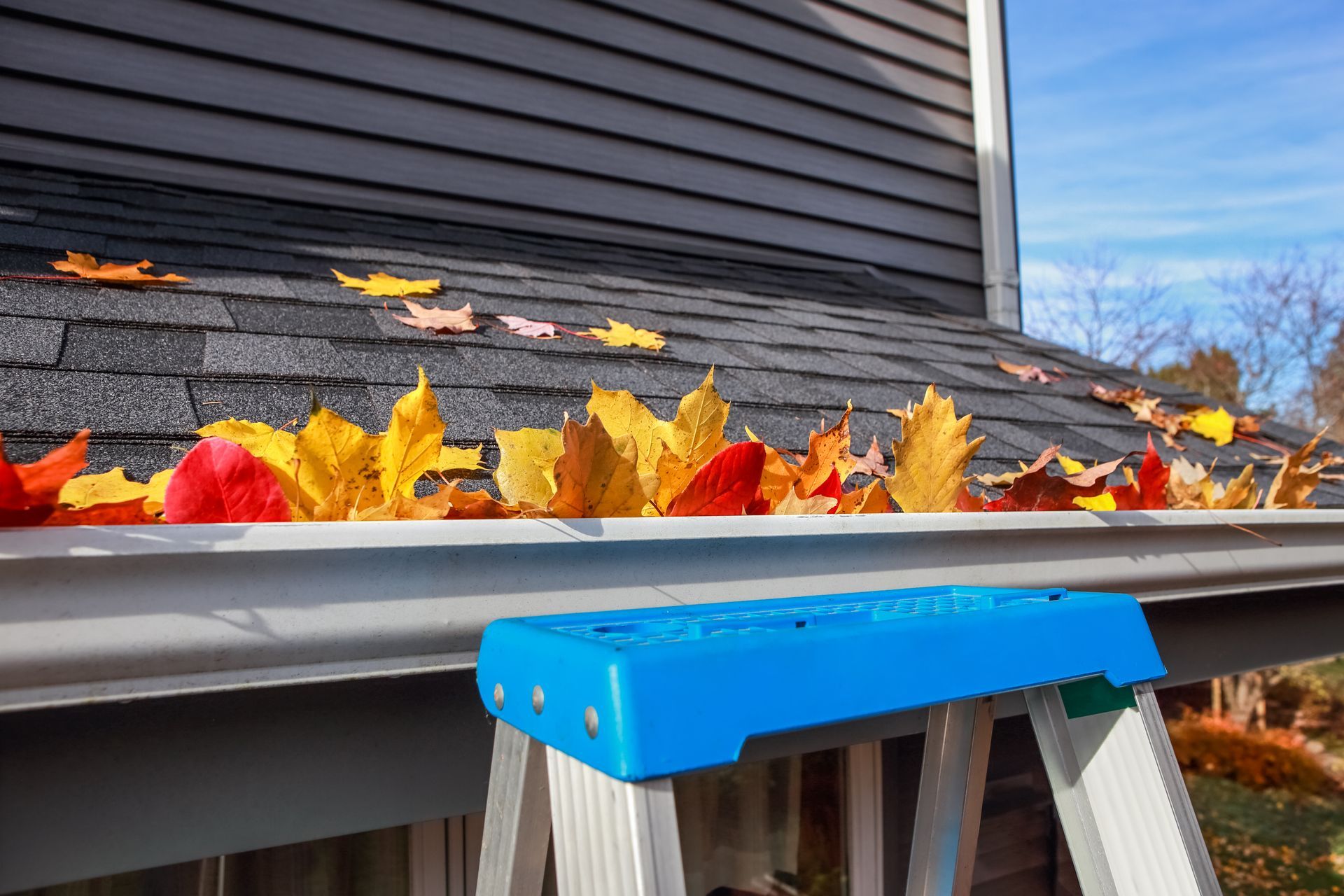 Gutter Repair Services Near You