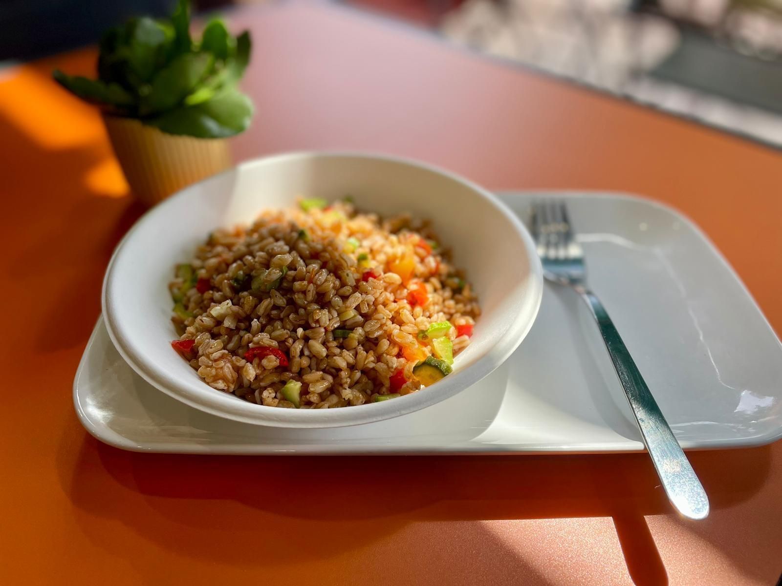 orzo