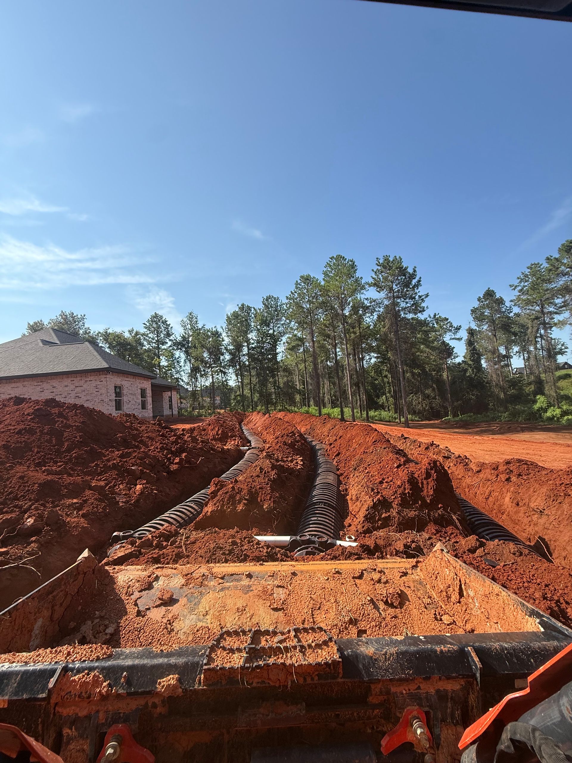 Person looking into an open septic tank. The tank opening is surrounded by grass and leaves.