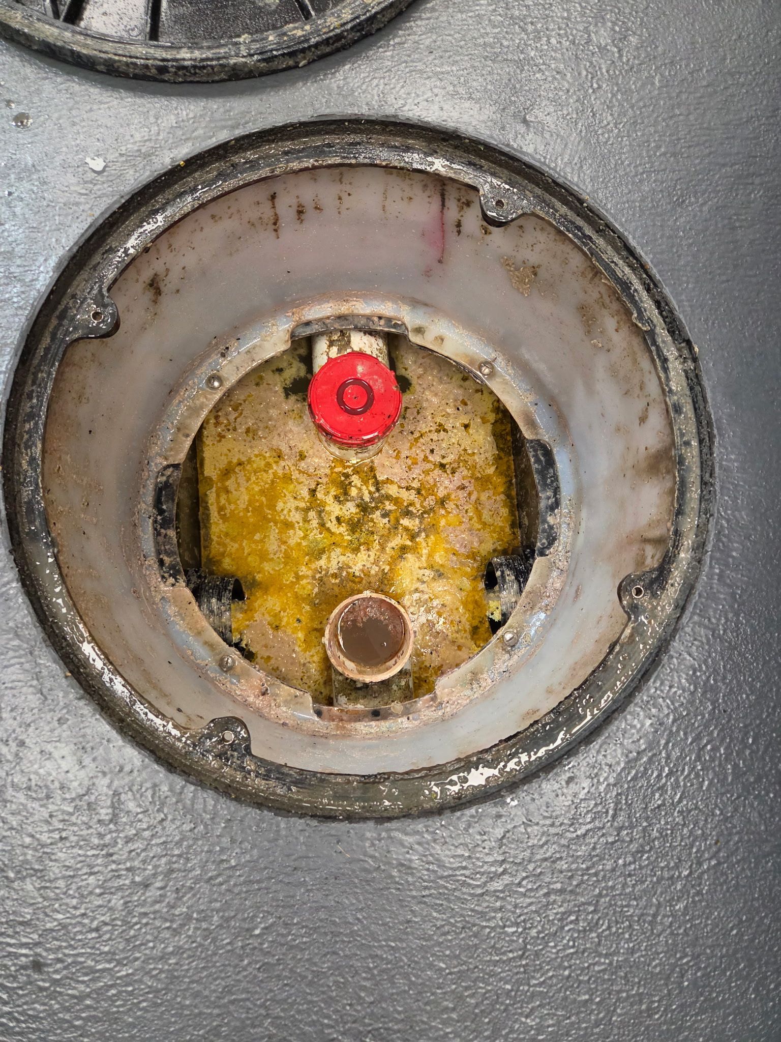 Inside of a dishwasher: spray arm over filter and base.
