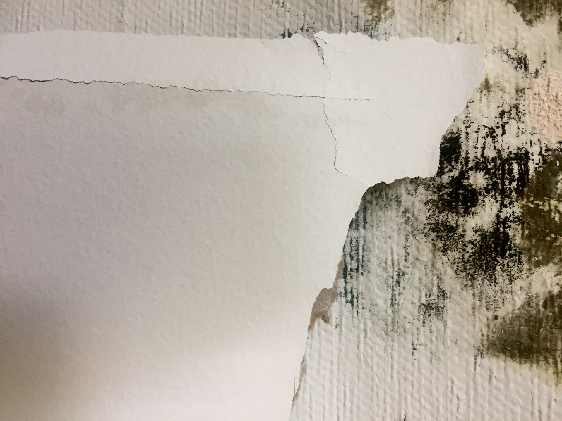 Water Damage Restoration