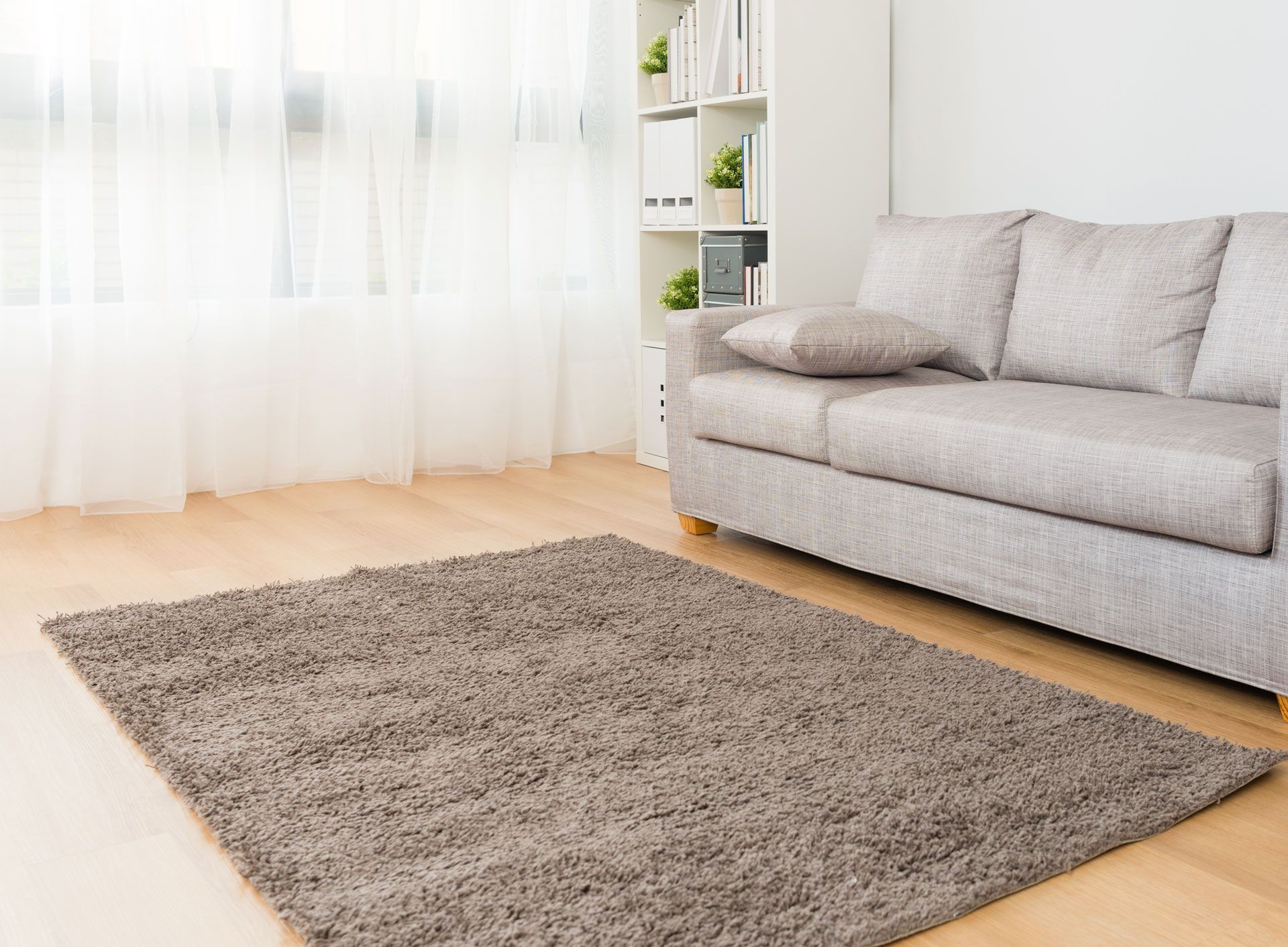 Area Rug Cleaning