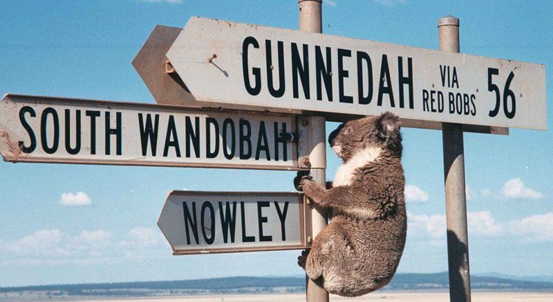 About Us | Gunnedah's Maynestay Motel