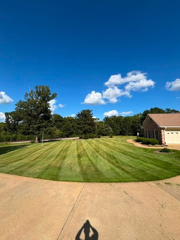 Sunny suburban yard with striped lawn, blue sky, trees, driveway, and a house at right