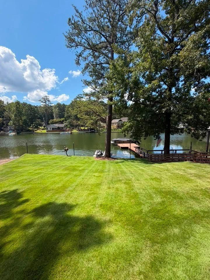 Sunny lakeside lawn with trees, dock, and calm water under a blue sky.