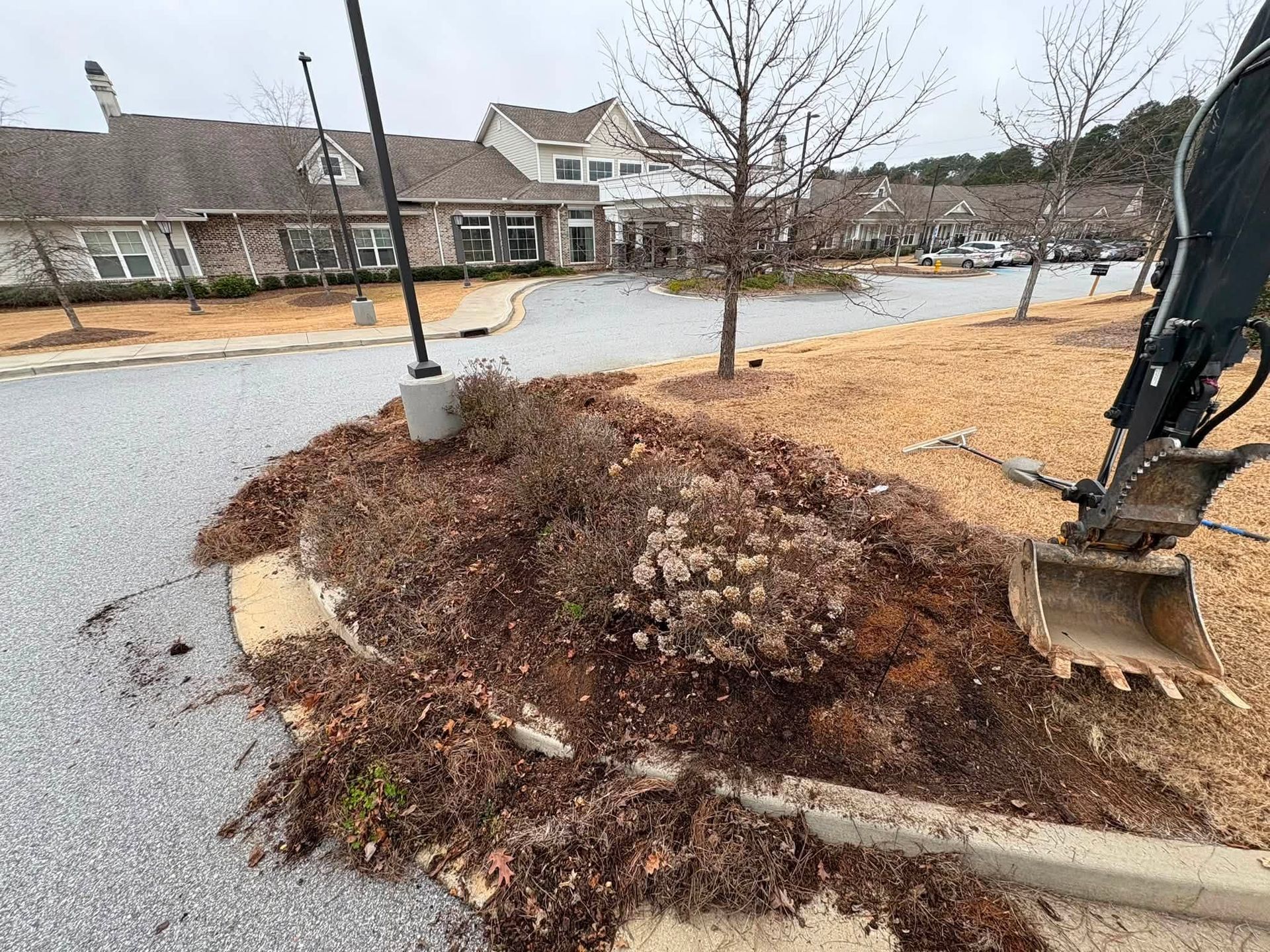 Fresh mulch piled around a tree in a neighborhood street with a construction excavator nearby