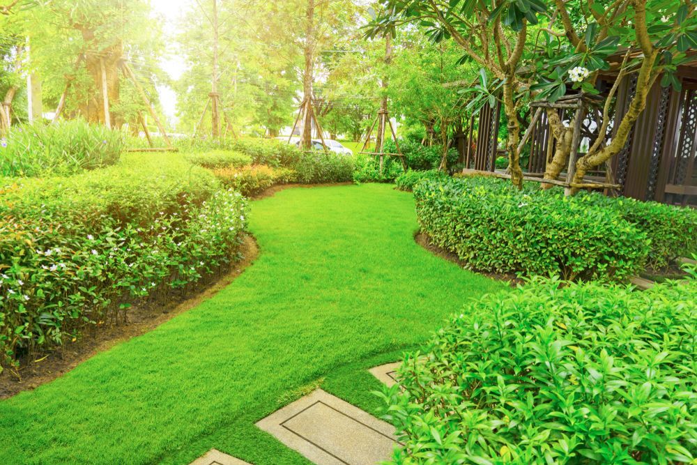 A Lush, Sunlit Garden Featuring a Winding Green Lawn — A Betta Fence 'N' Yard In Wauchope, NSW