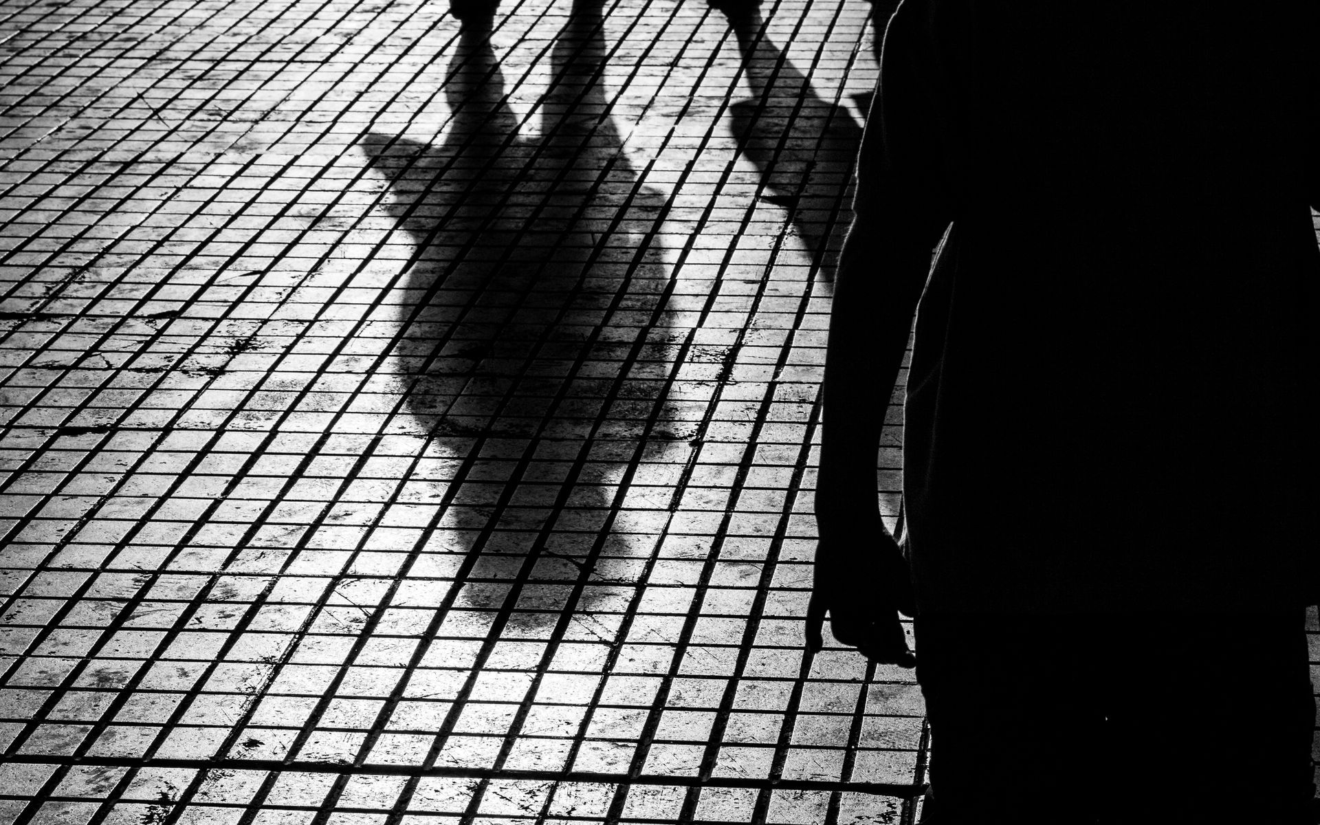 raccolta di prove e materiale video-fotografico