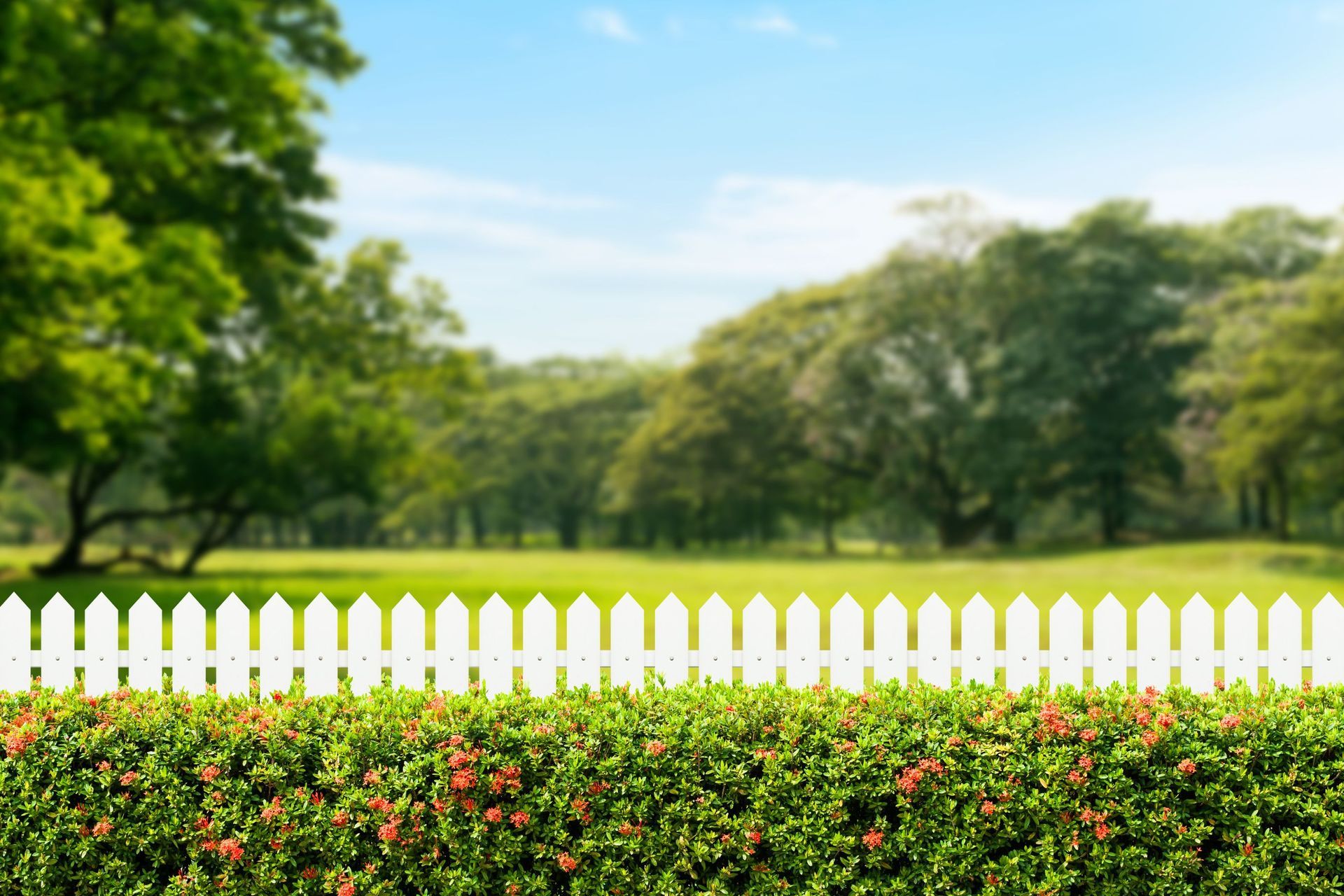 road side fence