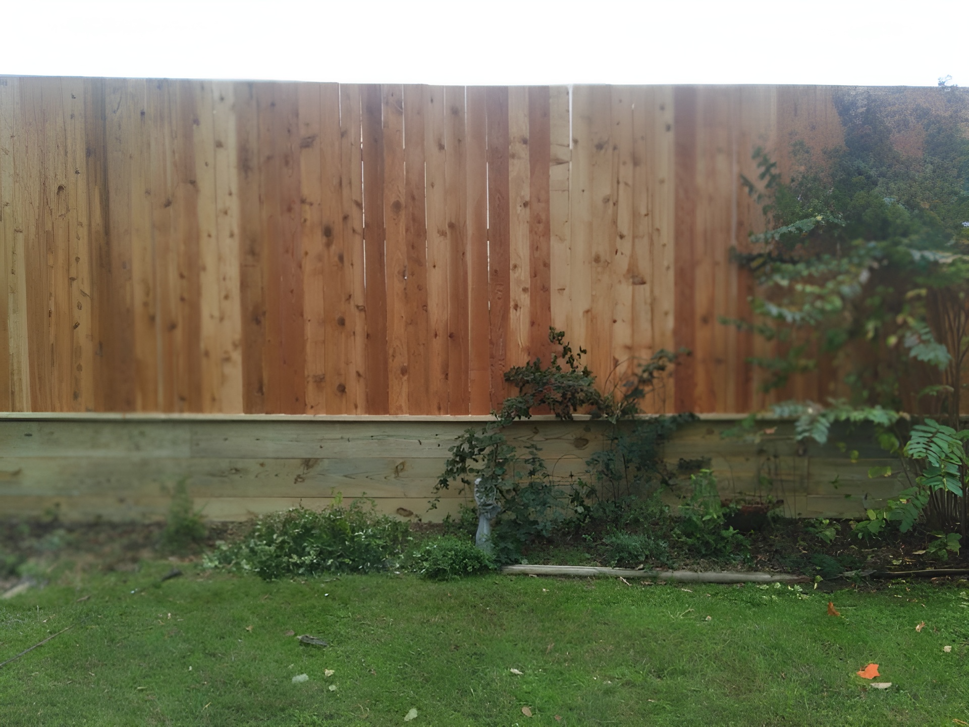 wood fence privacy