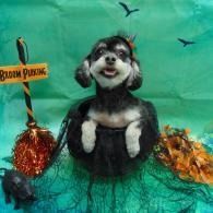 Small dog in a black costume sitting before a green backdrop with decorative Halloween-style props.