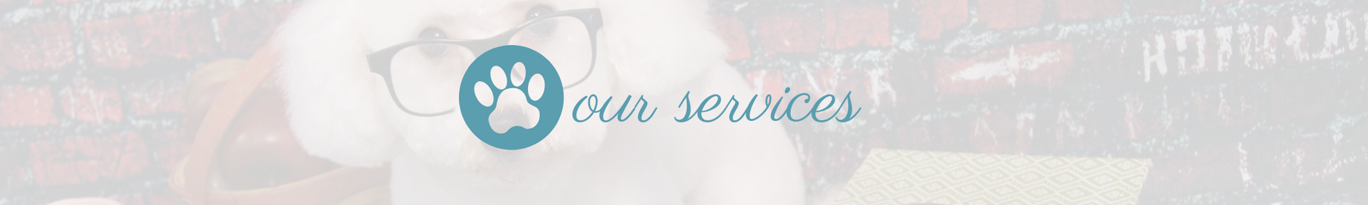 Blue circular paw-print logo with the text “our services” on a soft pastel banner.