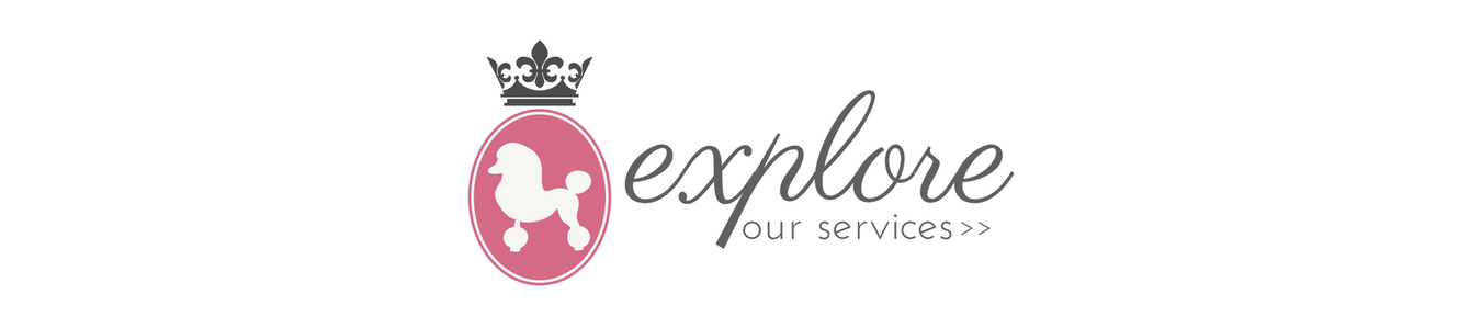 Explore Services logo with pink circular emblem and gray script text on white background