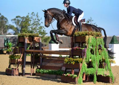 Horse and rider clearing a jump in an outdoor equestrian arena