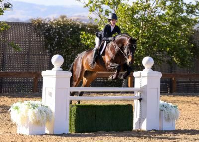 Horse and rider clearing a white show-jumping fence in an outdoor arena