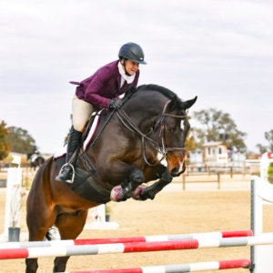 Rider in maroon jacket clears a jump on a black horse in an outdoor show ring.