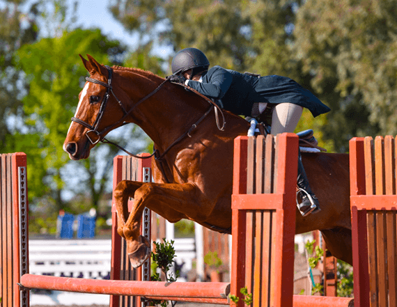 Horse and rider clearing a red show-jumping fence outdoors