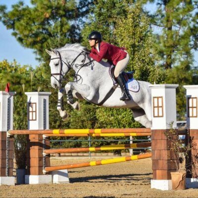 Equestrian rider in red shirt jumping a white horse over a hurdle outdoors