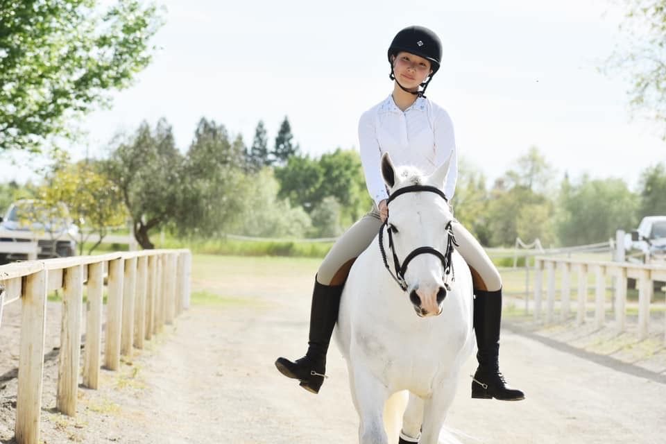 Person riding a white horse on a sunny outdoor path, with wooden fences and trees in the background.