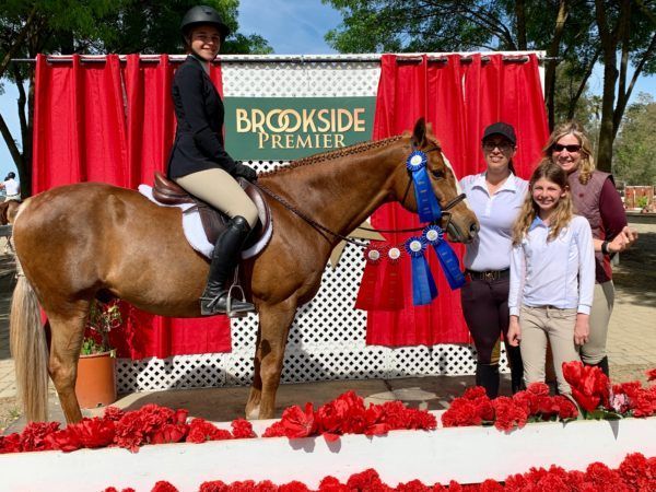 Horse and rider on a podium with red curtains; people stand beside a blue ribbon at Brookside Premier.