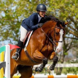 Horse and rider clearing a colorful show jumping fence outdoors