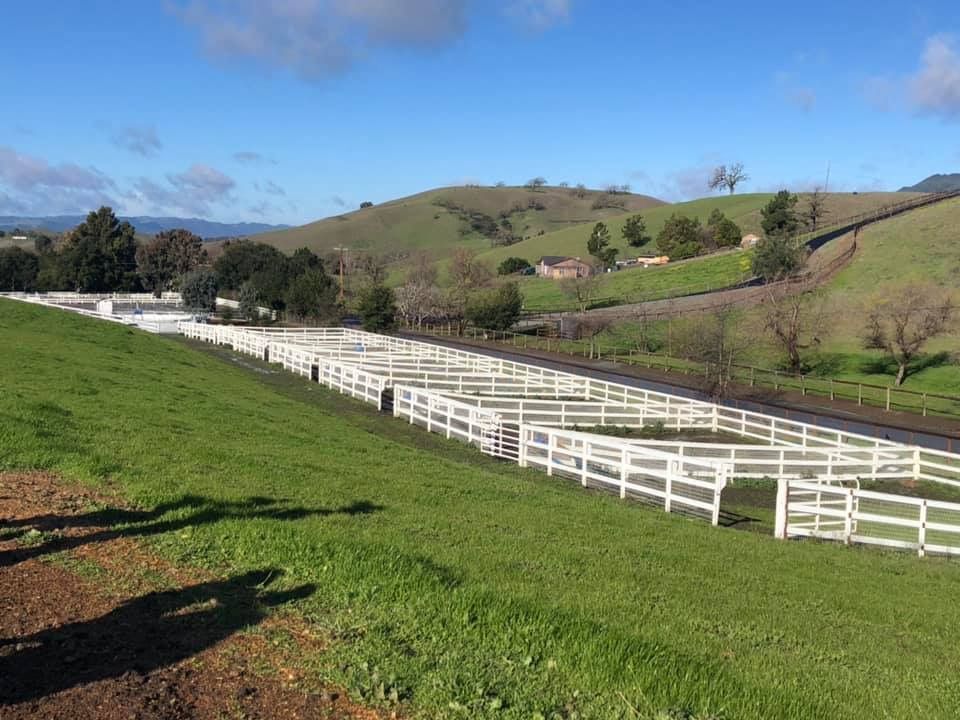 White fenced path through green hills under a blue sky