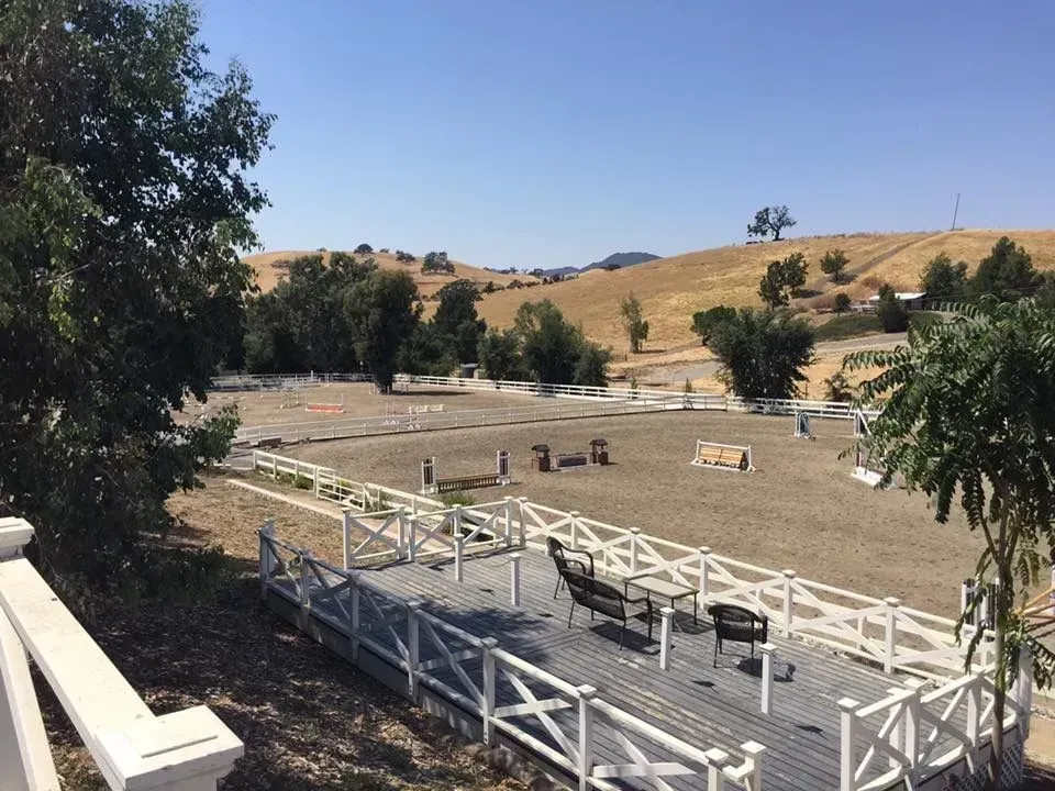 Outdoor horse riding arena with white fences, jumps, and trees on a sunny hillside