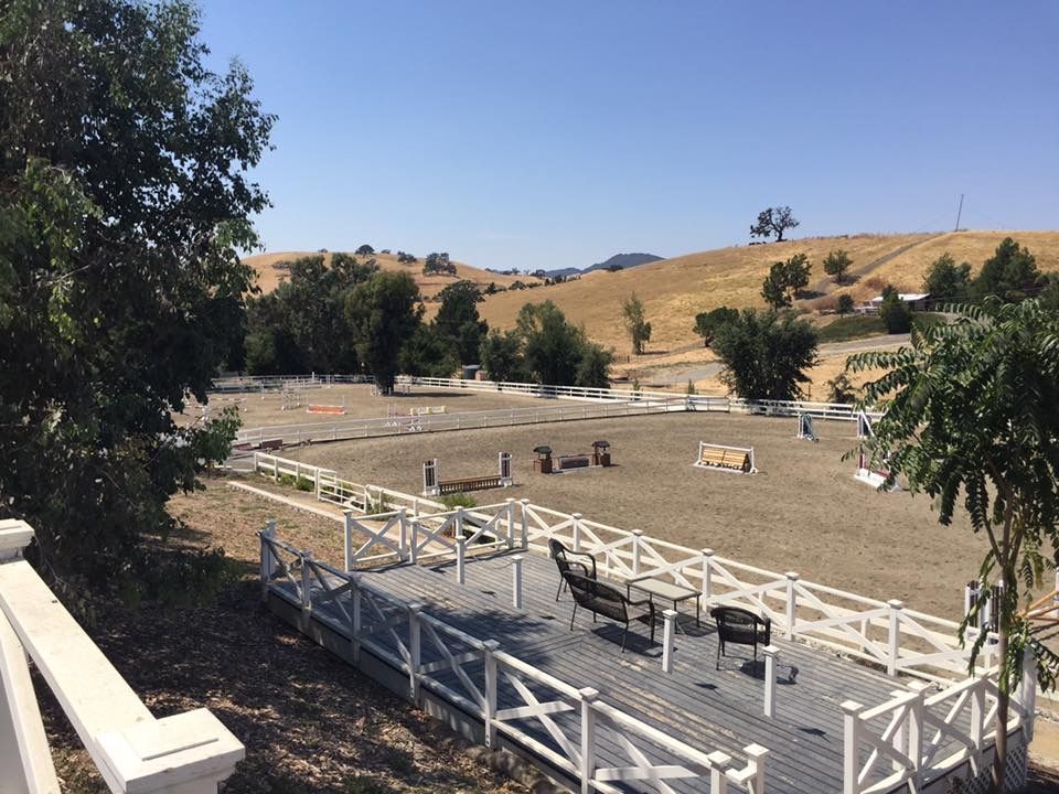 Outdoor horse riding arena with white fences, jumps, and trees on a sunny hillside
