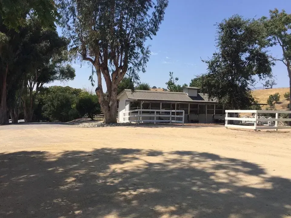 Rural house with white fence and large trees beside a dirt driveway under a clear blue sky