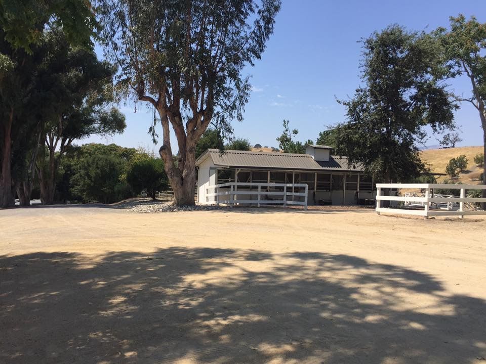 Rural house with white fence and large trees beside a dirt driveway under a clear blue sky