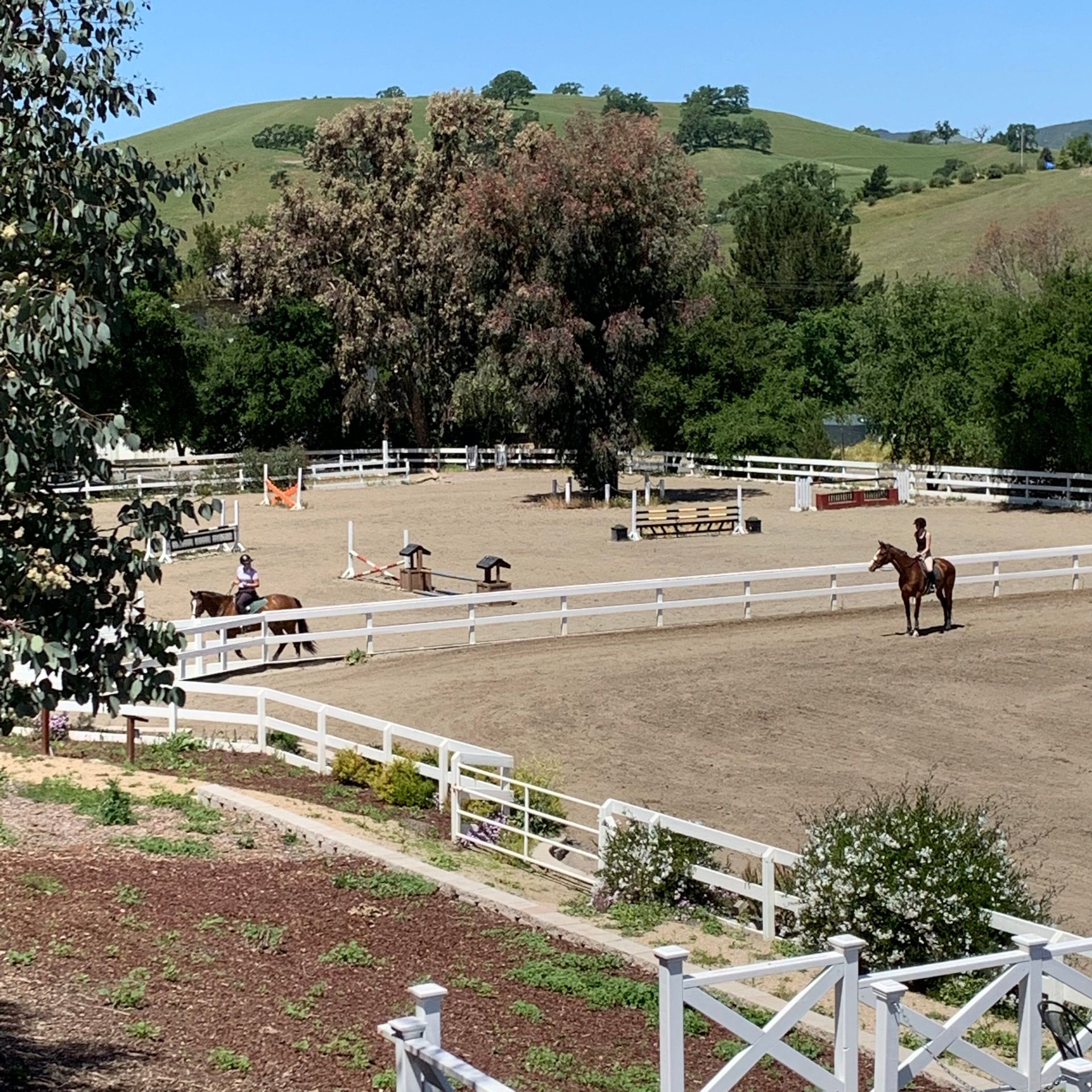 Horse arena with riders and jumps, bordered by white fences under green hills and trees.