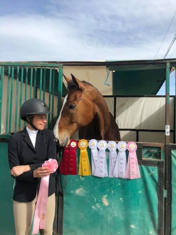 Horse and rider beside ribbon awards at a stable fence