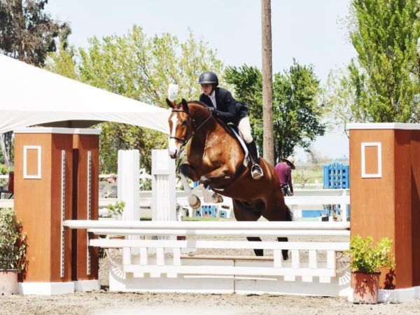 Horse and rider clearing a white jump in an outdoor show jumping arena