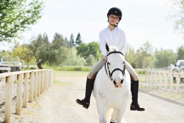 Child riding a white horse on a sunny path with wooden railings and trees in the background