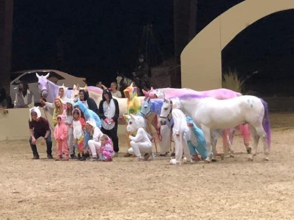 Group posing with two white horses under a large arch at night, wearing colorful outfits.