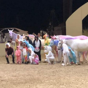 Group posing with two white horses at a nighttime outdoor event, one horse draped in pink cloth