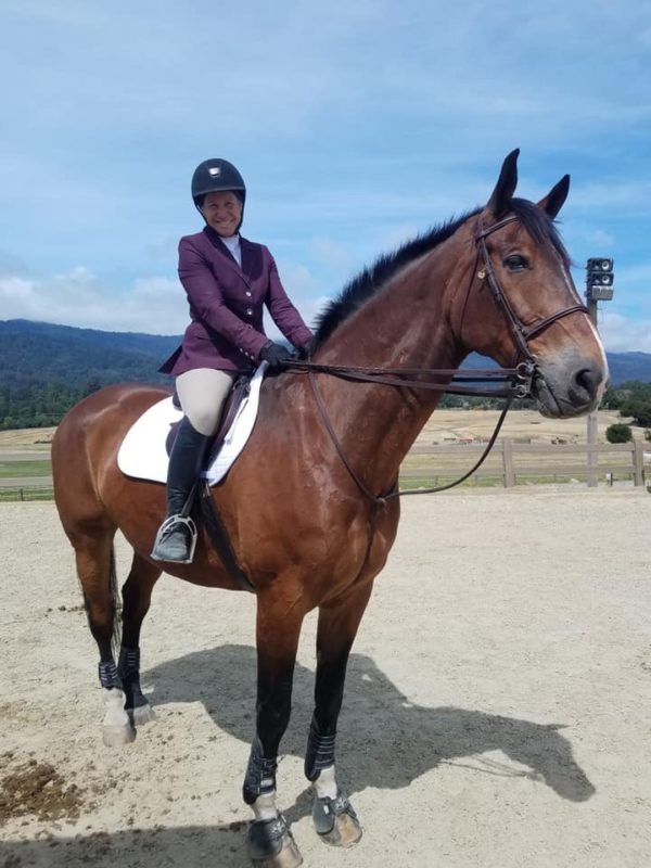 Rider in a purple jacket sits on a brown horse in an outdoor arena with hills in the background
