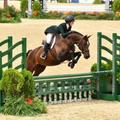 Rider and horse clearing a green show-jumping fence in an outdoor arena