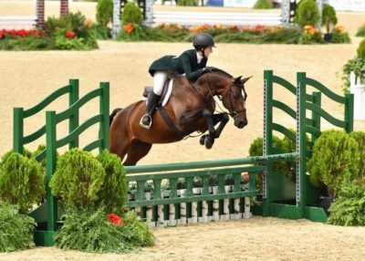 Horse and rider clearing a green show-jumping fence in an equestrian arena