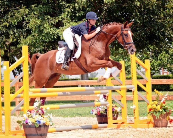 Rider on a chestnut horse clearing a yellow show-jumping fence outdoors.
