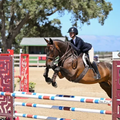 Horse and rider clearing a jump in an outdoor show jumping arena