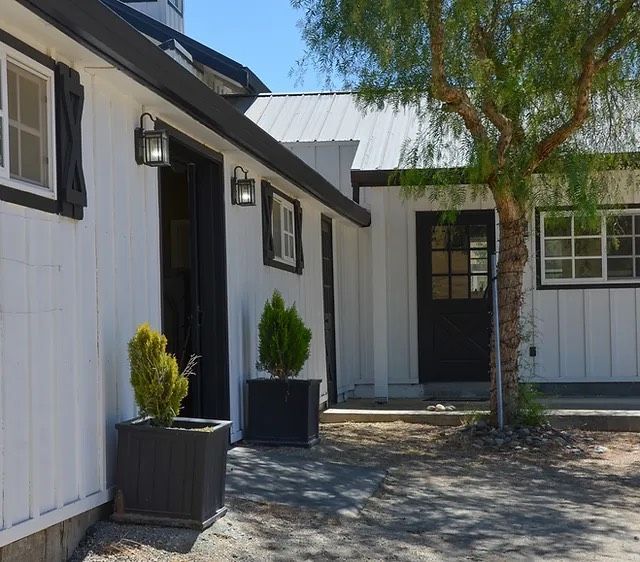 White building exterior with black doors, potted shrubs, and a tree in a sunlit courtyard